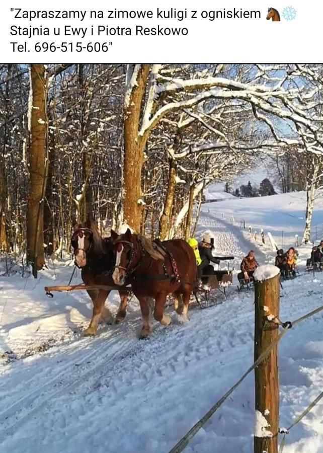 Nocleg Na Poziomkowej Lägenhet Kościerzyna Exteriör bild